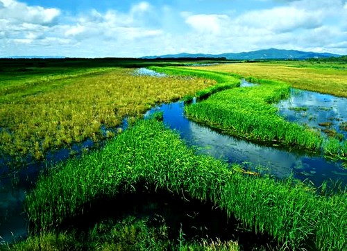 黑龙江三江平原