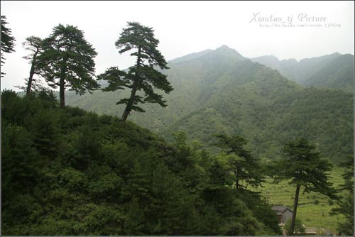 \五一\自驾去旅行 爬山看海逛草原